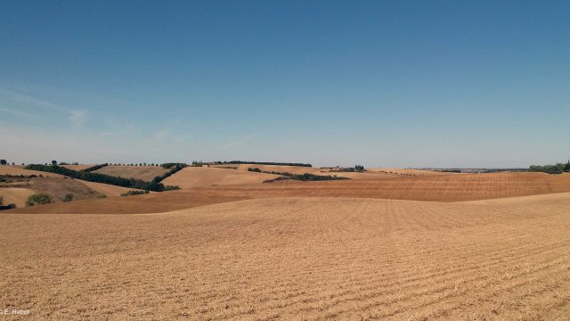 Haute-Garonne - Lauragais