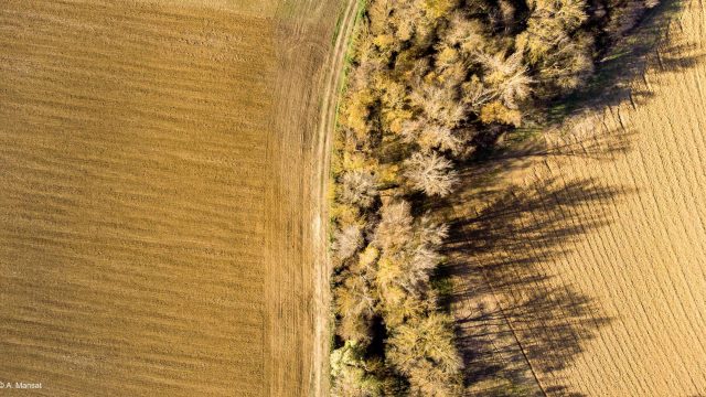 Haute-Garonne - Lit majeur de l'Hers Mort