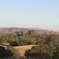 San Joaquin Experimental Range, CA, USA