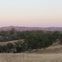 San Joaquin Experimental Range landscape at sunset, CA, USA